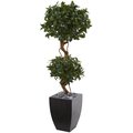 Dare2Decor 4.5 ft. Sweet Bay Artificial Double Topiary Tree in Black Wash Planter DA416573